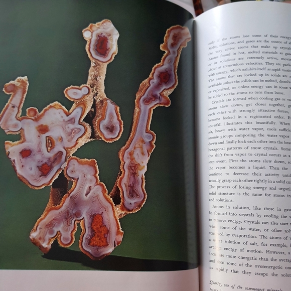 The Mineral Kingdom Book By Paul Desautels - Picture 5 of 6